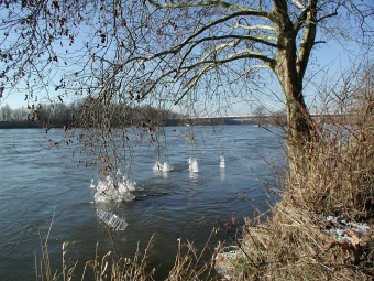 coudray.jpg (116234 bytes)