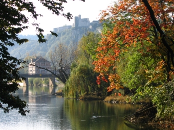 fusis.jpg (108458 bytes)