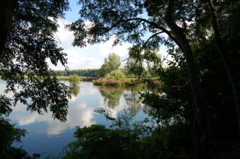 gogjm.jpg (92648 bytes)