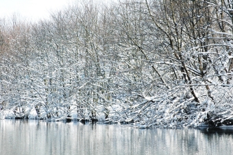 kessler.jpg (105208 bytes)