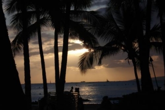 laura.jpg (49129 bytes)