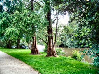 lecam.jpg (129521 bytes)