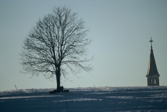 legal.jpg (56790 bytes)