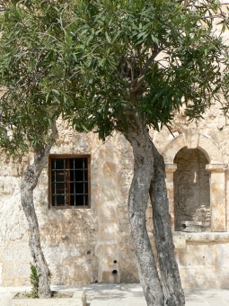 loisel.jpg (113412 bytes)