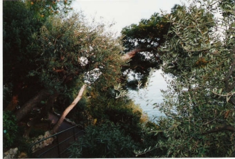 manue374.jpg (89145 bytes)