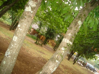 maurin.jpg (107729 bytes)