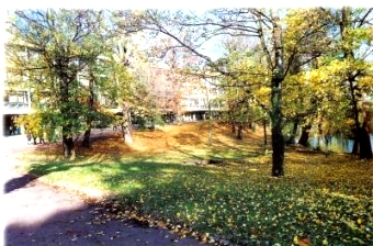 nalpas.jpg (99567 bytes)