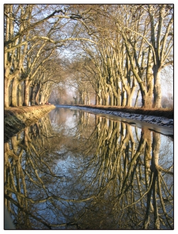 nonochenet.jpg (117176 bytes)