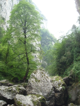 turgis.jpg (94223 bytes)