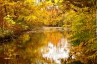 anissa.jpg (61540 bytes)