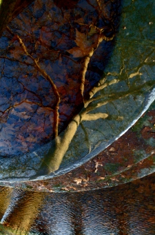 bismuth.jpg (94054 bytes)