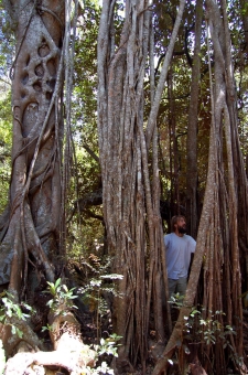 chenot.jpg (103478 bytes)