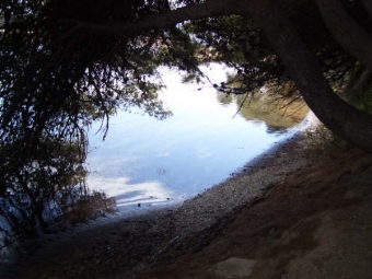 cheref.jpg (75063 bytes)