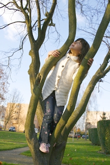 cluzel.jpg (84958 bytes)