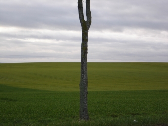 colmart.jpg (53573 bytes)