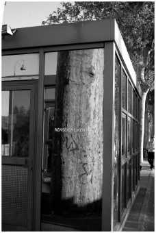 didruano.jpg (62796 bytes)