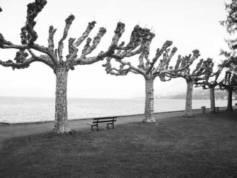 famille.jpg (62338 bytes)