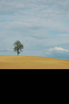 figeac.jpg (26522 bytes)