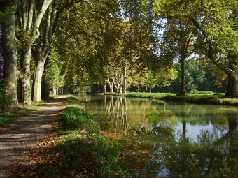 fusis.jpg (114013 bytes)