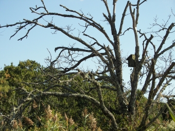 gametedith.jpg (110913 bytes)