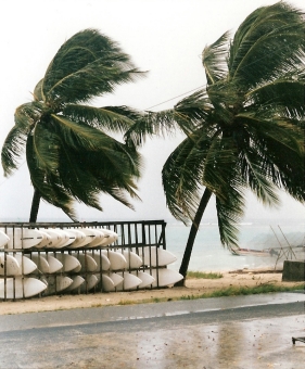 godimus.jpg (97836 bytes)