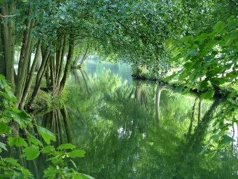 grodet.jpg (113961 bytes)