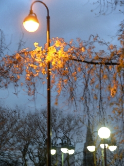 guerquin.jpg (92147 bytes)