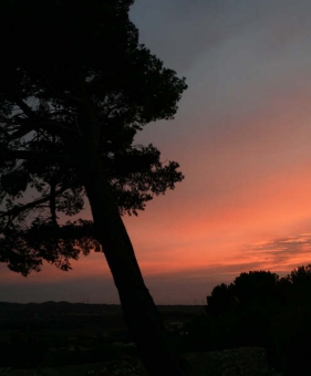 guyot.jpg (49428 bytes)