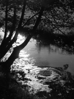 laguillez.jpg (72625 bytes)