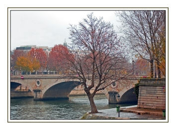 laurent.jpg (88959 bytes)