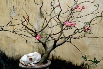 leverre.jpg (86318 bytes)