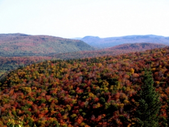 lloubfapa.jpg (84224 bytes)