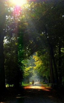 lodie35.jpg (69406 bytes)