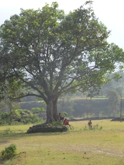 marble.jpg (95059 bytes)