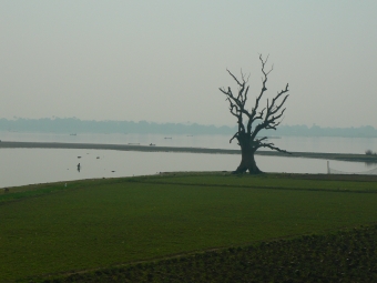 matteo.jpg (53065 bytes)