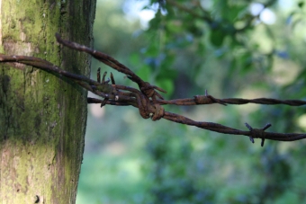 newconcept.jpg (66499 bytes)