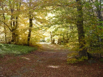 rabeyrin.jpg (119975 bytes)