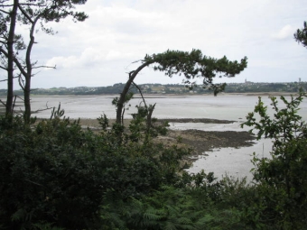 rallyman77.jpg (77062 bytes)