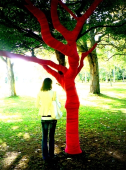 sciaux.jpg (110758 bytes)