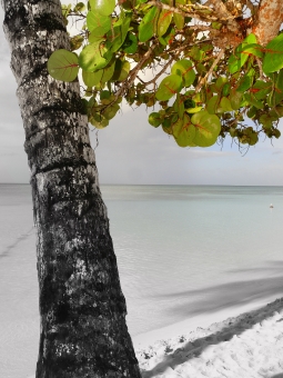 sluce.jpg (84249 bytes)