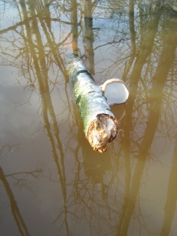 soul.jpg (75906 bytes)