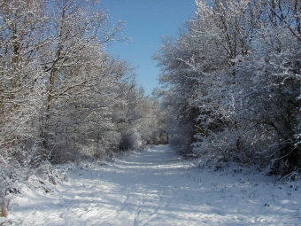 trumeau.jpg (101612 bytes)