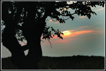 valebest2.jpg (13915 bytes)