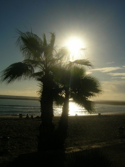 abbruzzese.jpg (60567 bytes)