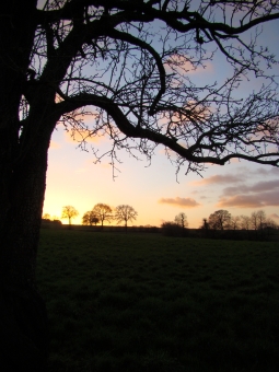 albane.jpg (79955 bytes)