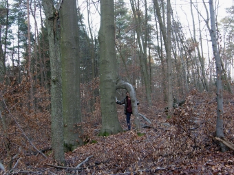 andre.jpg (108691 bytes)