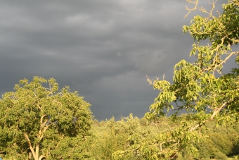 barcq.jpg (82192 bytes)