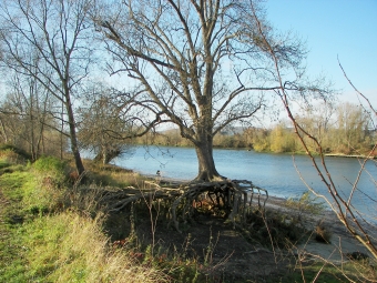 bicking.jpg (111590 bytes)