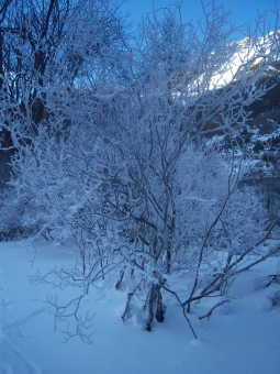 ciccaglione.jpg (93519 bytes)