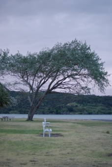 conraud.jpg (66506 bytes)